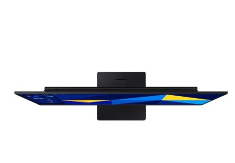 Samsung Monitor 24 cale LS24D302GAUXEN